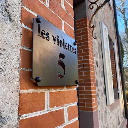 Les V-iolettes Proche Et Centre Ville, Villa